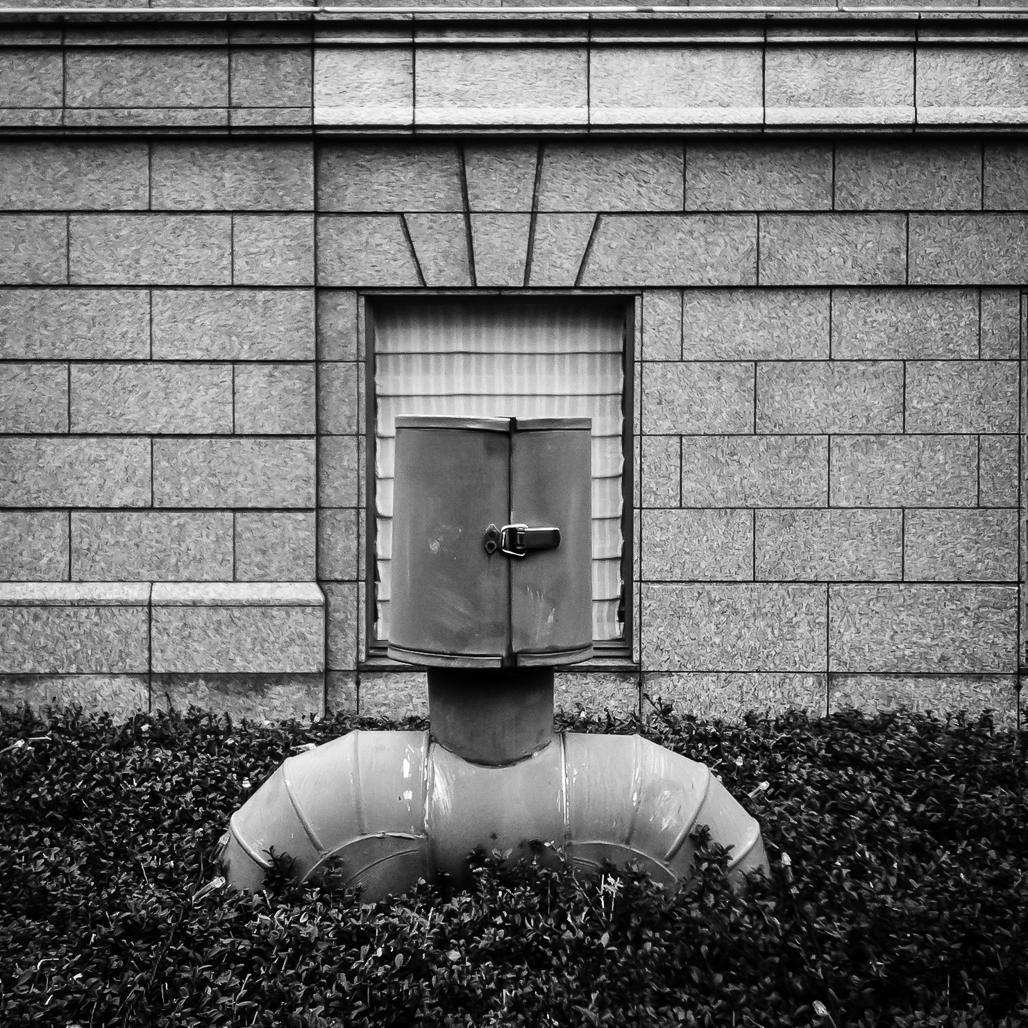 anthropomorphia
